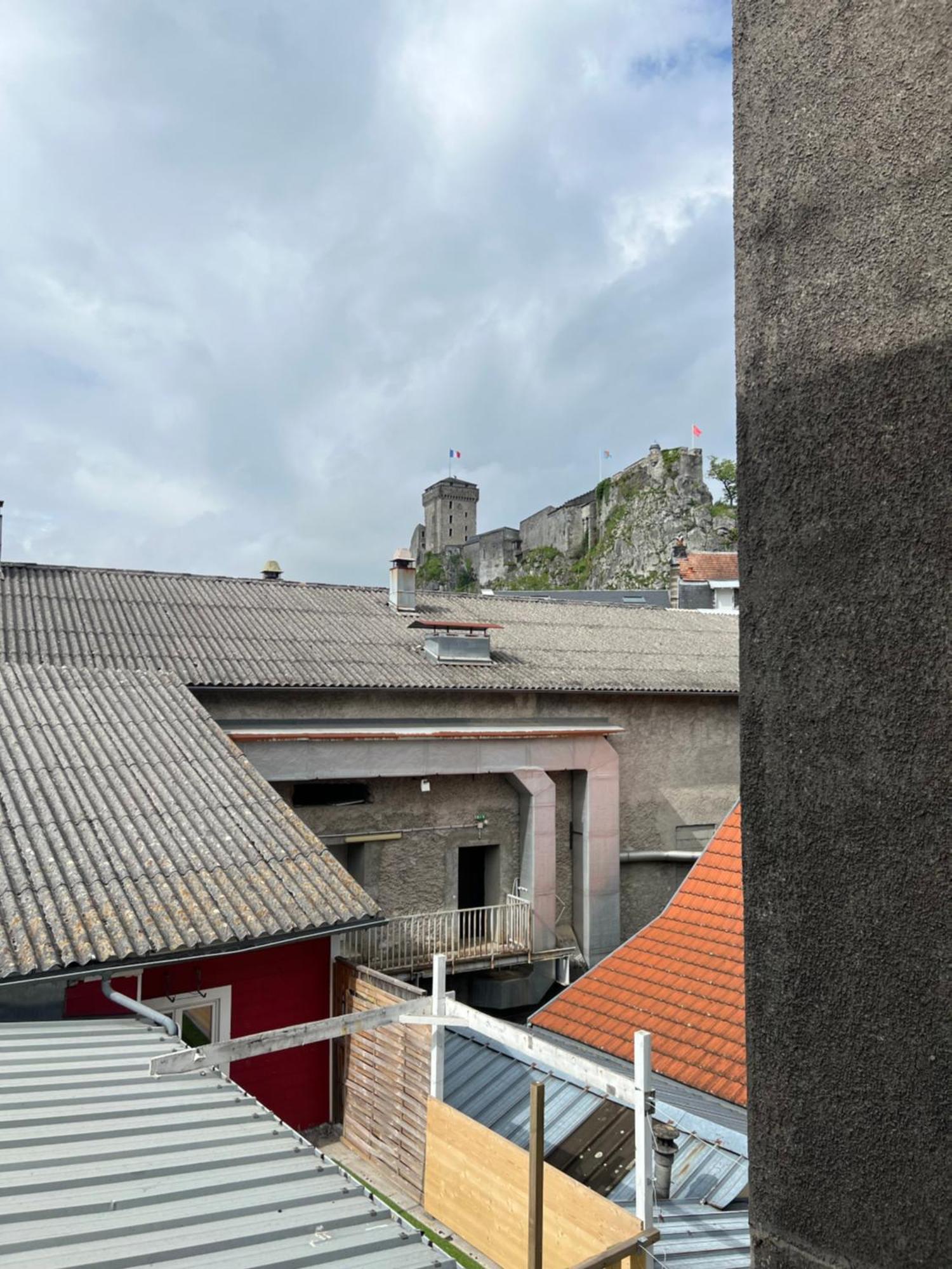 Residence Sainte Therese - La Villa Selva Λούρδη Εξωτερικό φωτογραφία